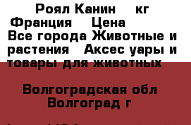  Роял Канин 20 кг Франция! › Цена ­ 3 520 - Все города Животные и растения » Аксесcуары и товары для животных   . Волгоградская обл.,Волгоград г.